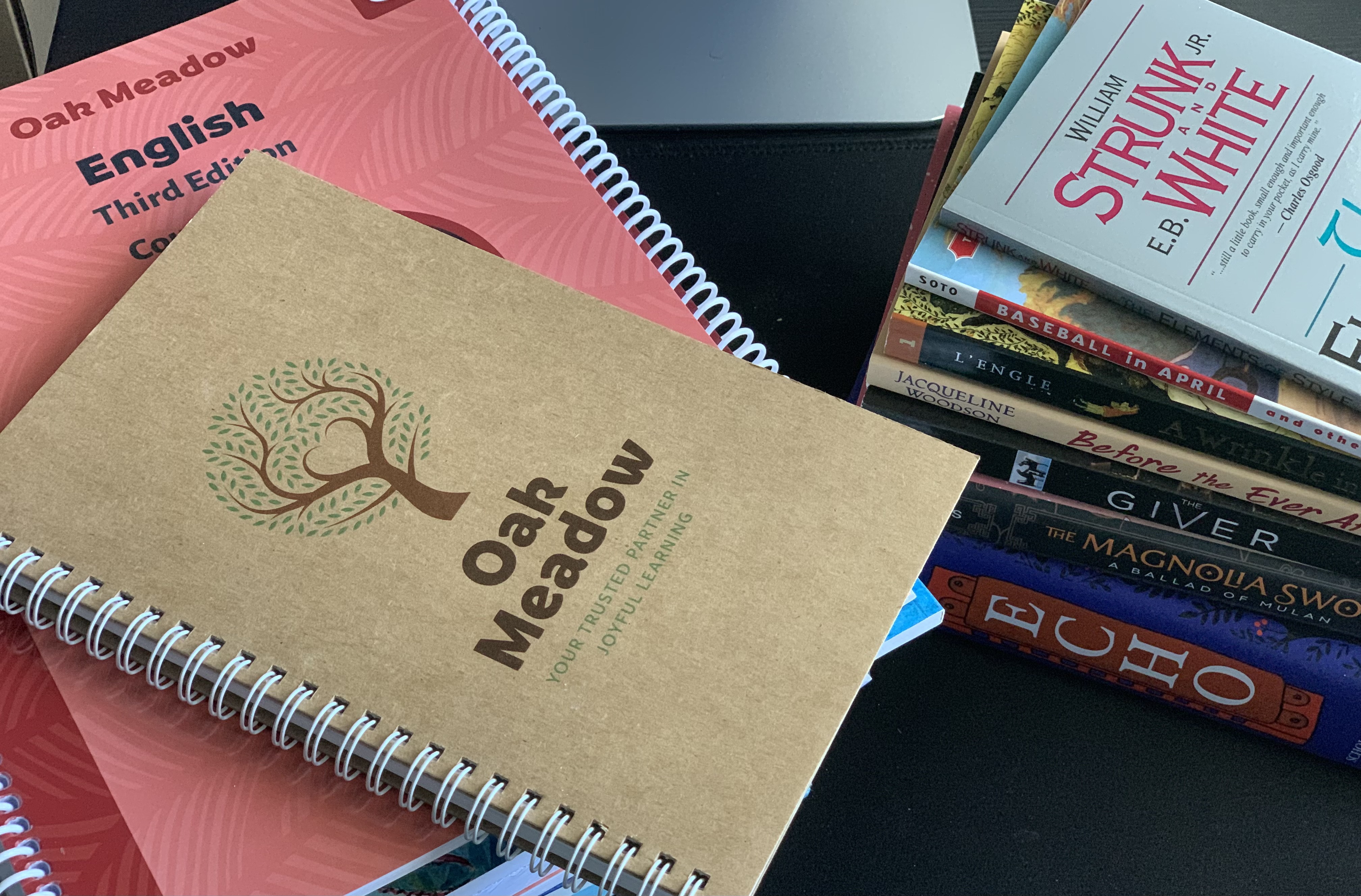 Our Experience Using Oak Meadow Grade 8 in 7th Grade – Little Learner ...