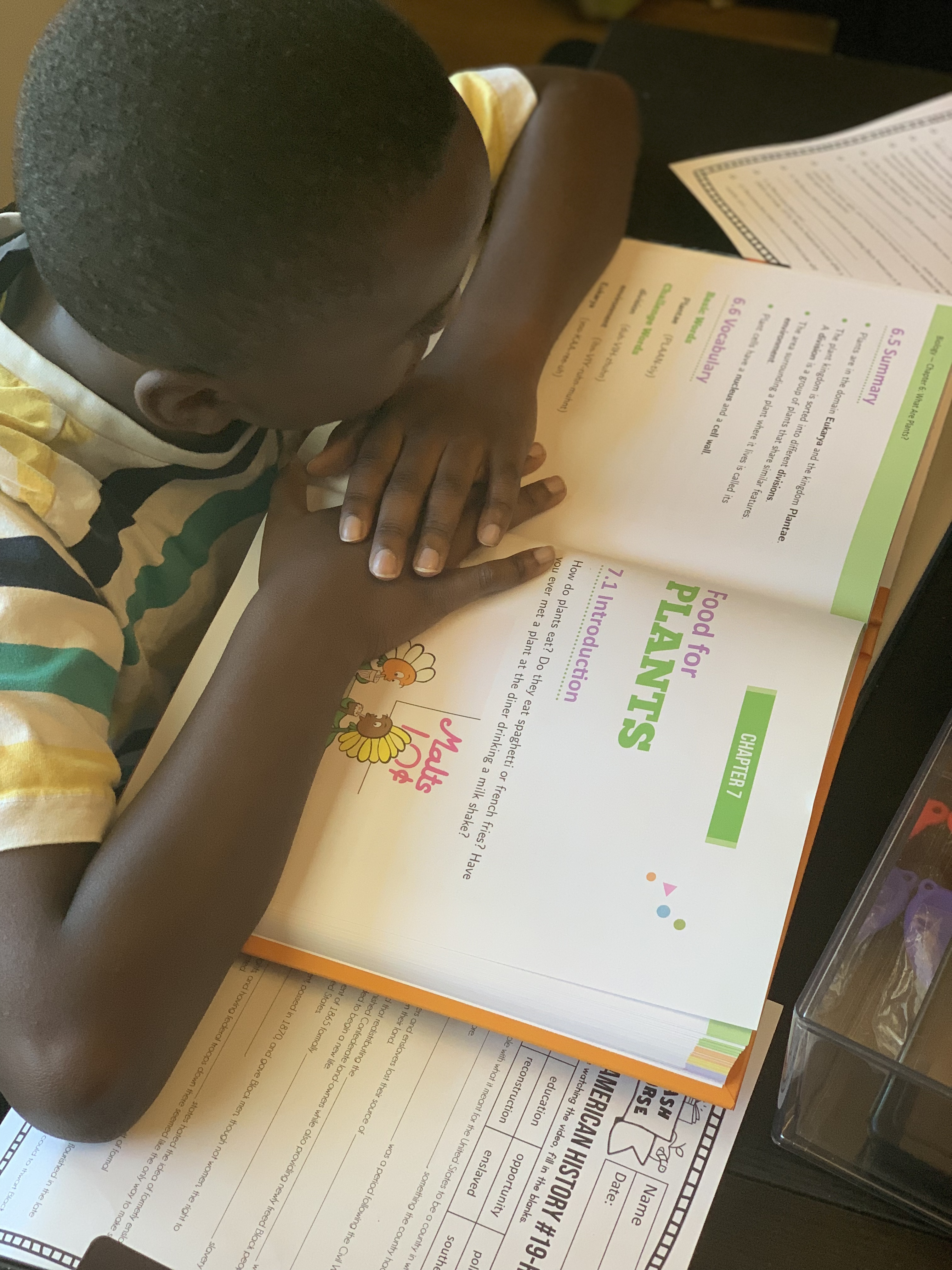 Curious Minds Welcome: Our Honest Review of Real Science-4-Kids